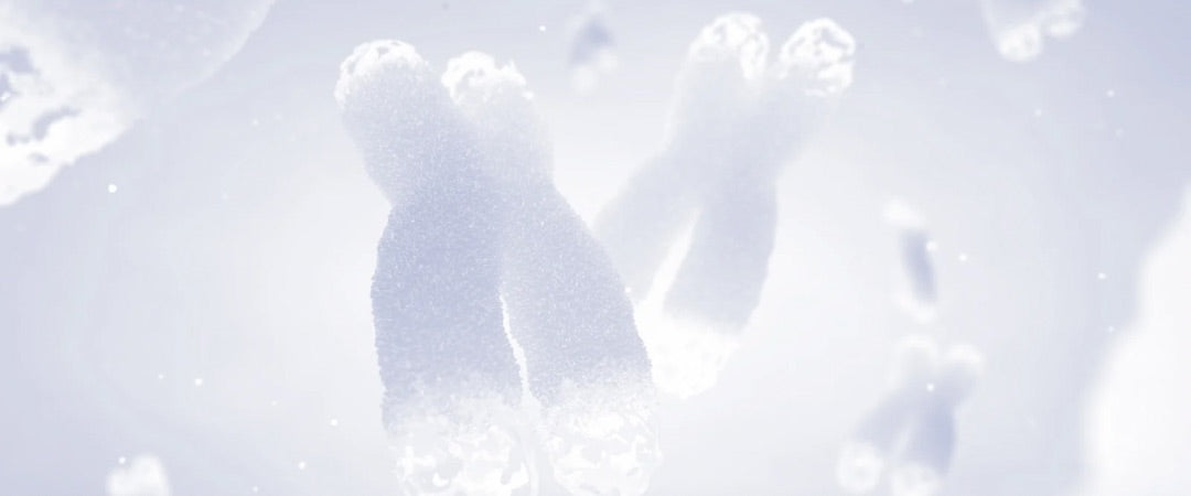 Jung bleiben auf Zellebene: Die Rolle der Telomere