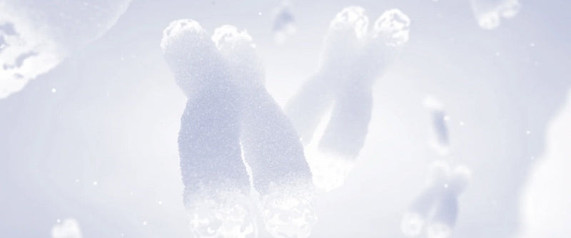 Telomere und Hautalterung auf Zellebene – Longevity Skincare mit BOOST, LIFT und ROYAL von Dr. Tonar Cosmetics