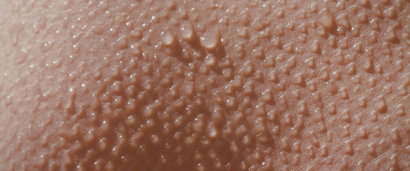 Mikroskopische Darstellung von Hautzellen beim Erneuerungsprozess – epigenetische Skincare von Dr. Tonar Cosmetics