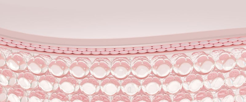 Kollagen und jugendliche Haut – Kollagenbildung fördern mit NIGHT Creme von Dr. Tonar Cosmetics