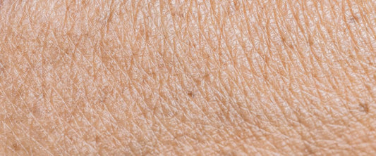 Skin Longevity: Was du für deine Haut tun kannst, um sie länger jung zu halten