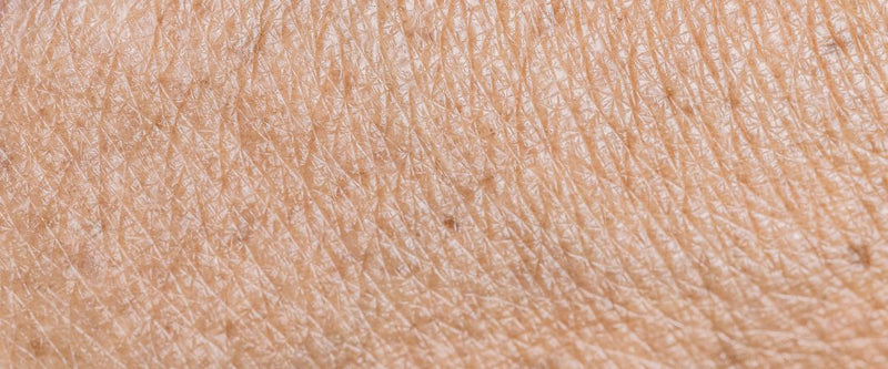 Skin Longevity – Hautalterung verlangsamen mit epigenetischen Wirkstoffen von Dr. Tonar Cosmetics