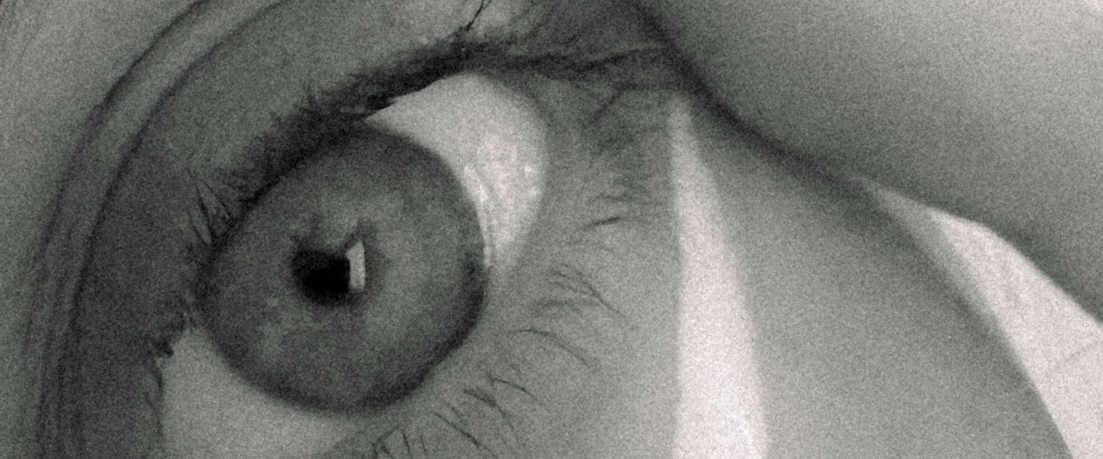 Das Geheimnis strahlender Augen: Was in einer guten Augencreme steckt