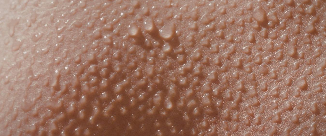 Mikroskopische Darstellung von Hautzellen beim Erneuerungsprozess – epigenetische Skincare von Dr. Tonar Cosmetics